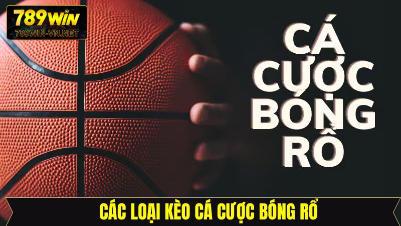 Cá Cược Bóng Rổ - Tận Hưởng Kèo Cược Cùng Bí Kíp Hay 789Win 3 Tổng hợp các loại cá cược bóng rổ phổ biến 789Win